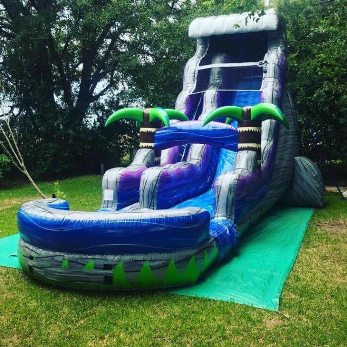 22ft Midnight Palms Waterslide