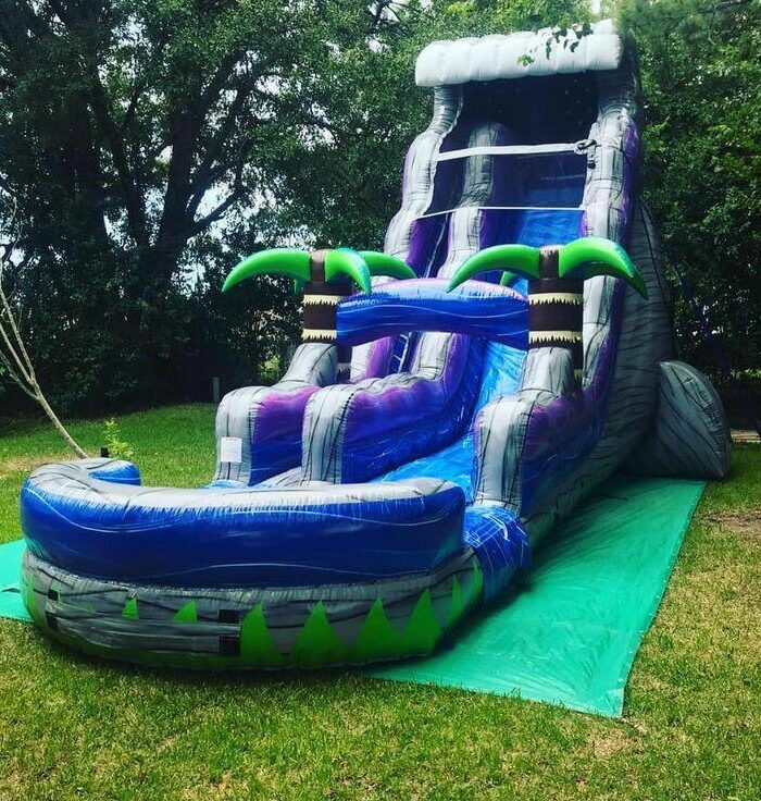 22ft Midnight Palms Waterslide