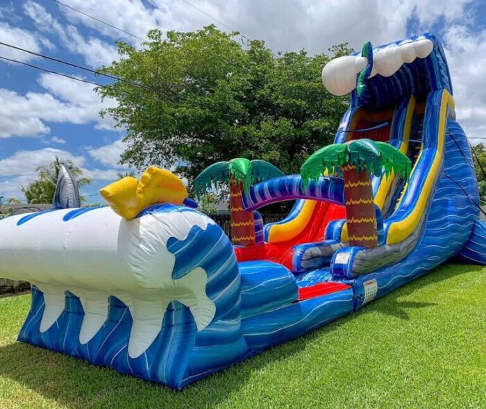 22ft Palm Clouds Waterslide