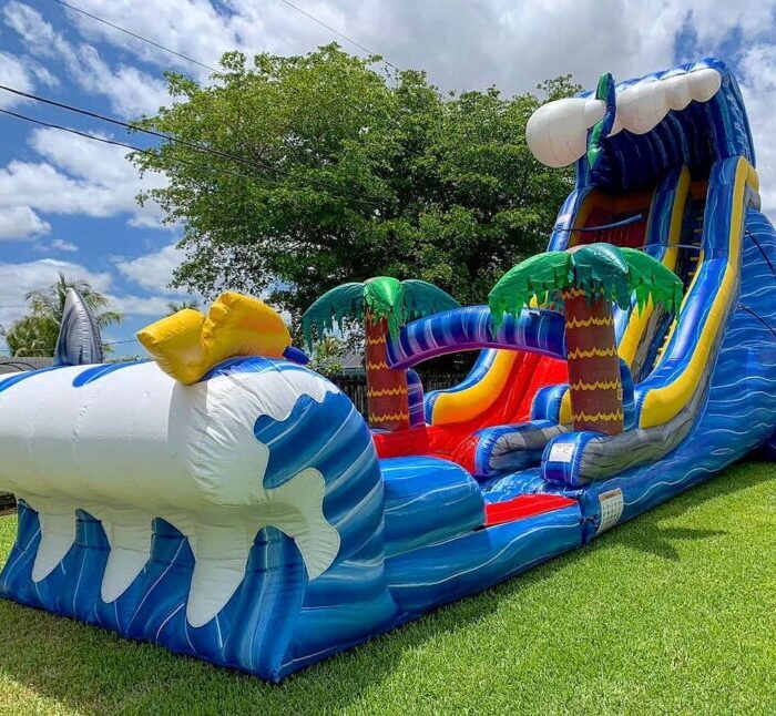 22ft Palm Clouds Waterslide