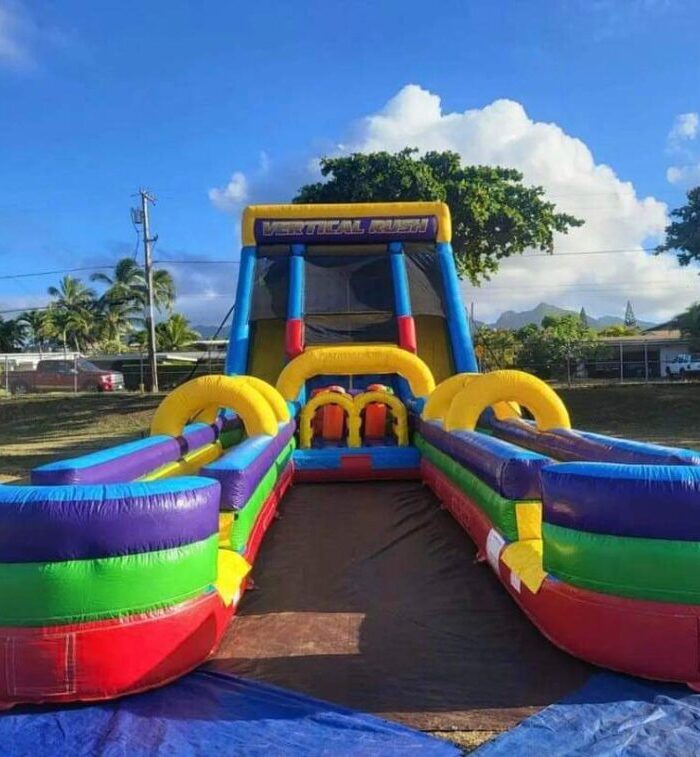 20ft Multicolour Double Lane water Slide