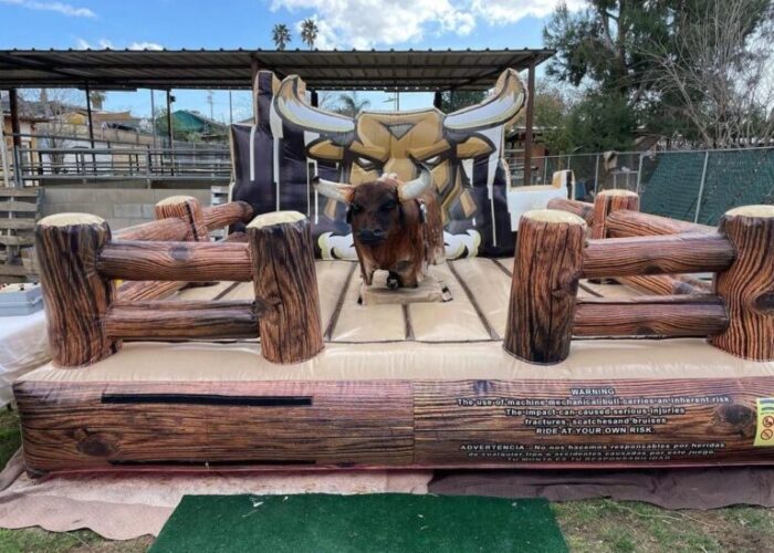 Deluxe inflatable mechanical bull