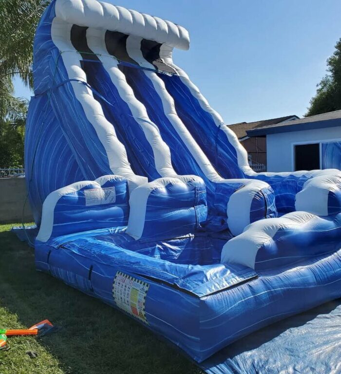 20ft Water wave double slide