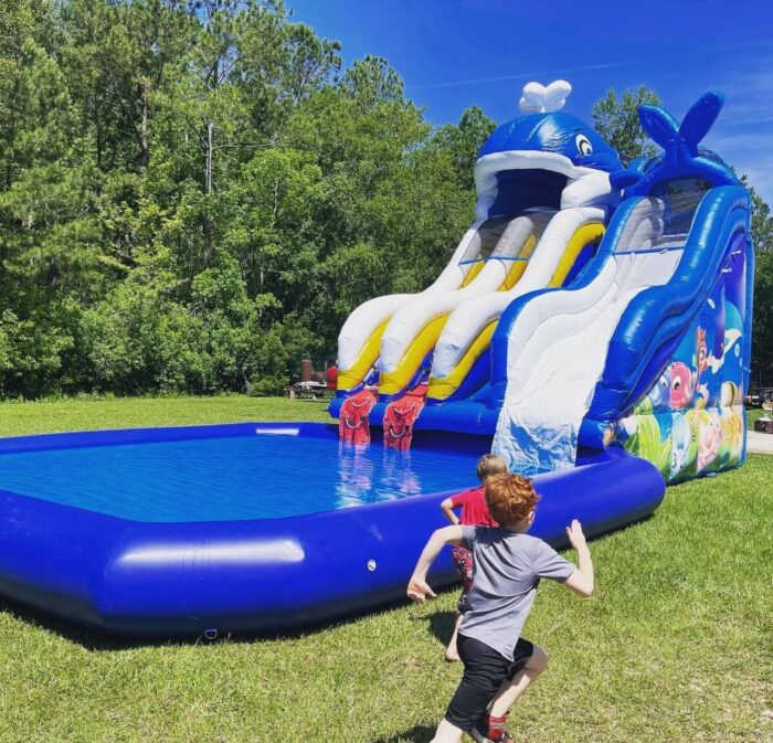 20ft Whale Splash Waterslide