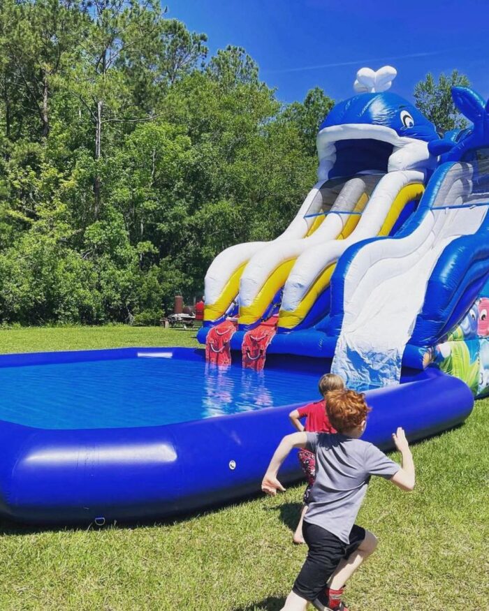 20ft Whale Splash Waterslide